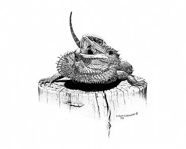 366x293 Lizard Austrlian - Bearded Dragon Painting