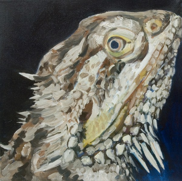600x595 Mlpbd - Bearded Dragon Painting