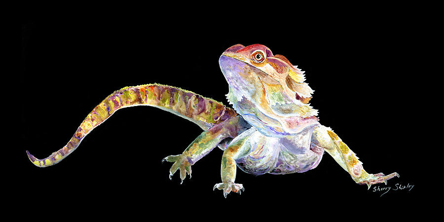 900x450 Bearded Dragon Painting By Sherry Shipley - Bearded Dragon Painting