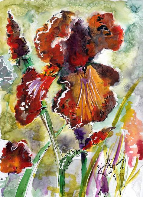 473x650 Brown Bearded Iris Garden Flowers By Ginette By Ginette Callaway - Bearded Iris Painting