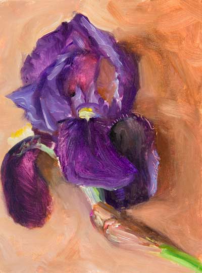 400x542 Daily Paintings Bearded Iris Postcard From Provence - Bearded Iris Painting