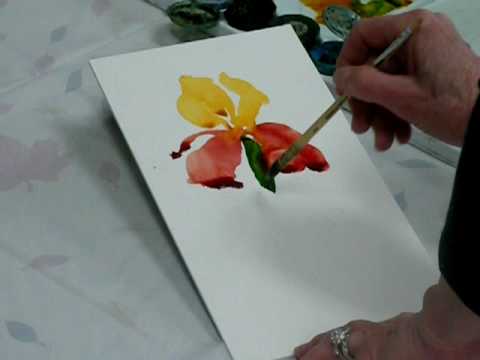 480x360 Bearded Iris - Bearded Iris Painting