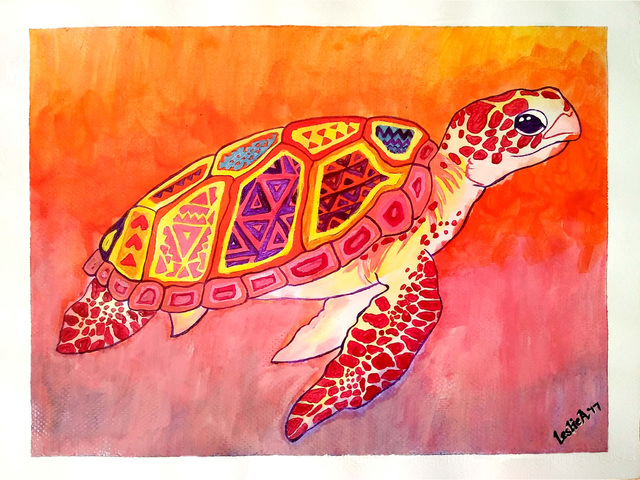 640x480 Leslie Abraham Artwork Beautiful Turtle Original Painting - Beautiful Acrylic Painting