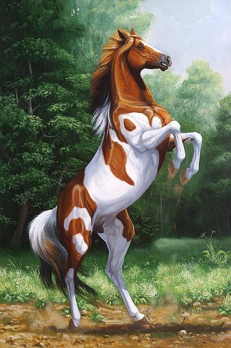 465x700 Beautiful Horse Yes. Beautiful Horses Horse, Horse - Beautiful Horse Painting