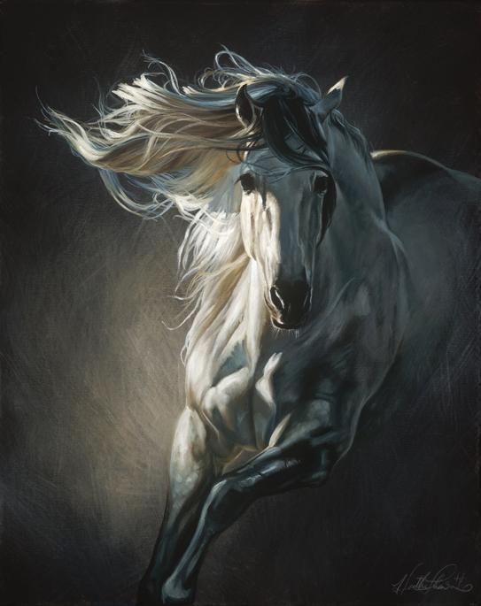 543x685 Gorgeous Horse Painting! Heather Theurer - Beautiful Horse Painting
