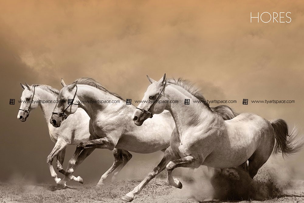 1000x667 Home Design Beautiful Acrylic Paintings Glass Wall Decor 3d Horse - Beautiful Horse Painting