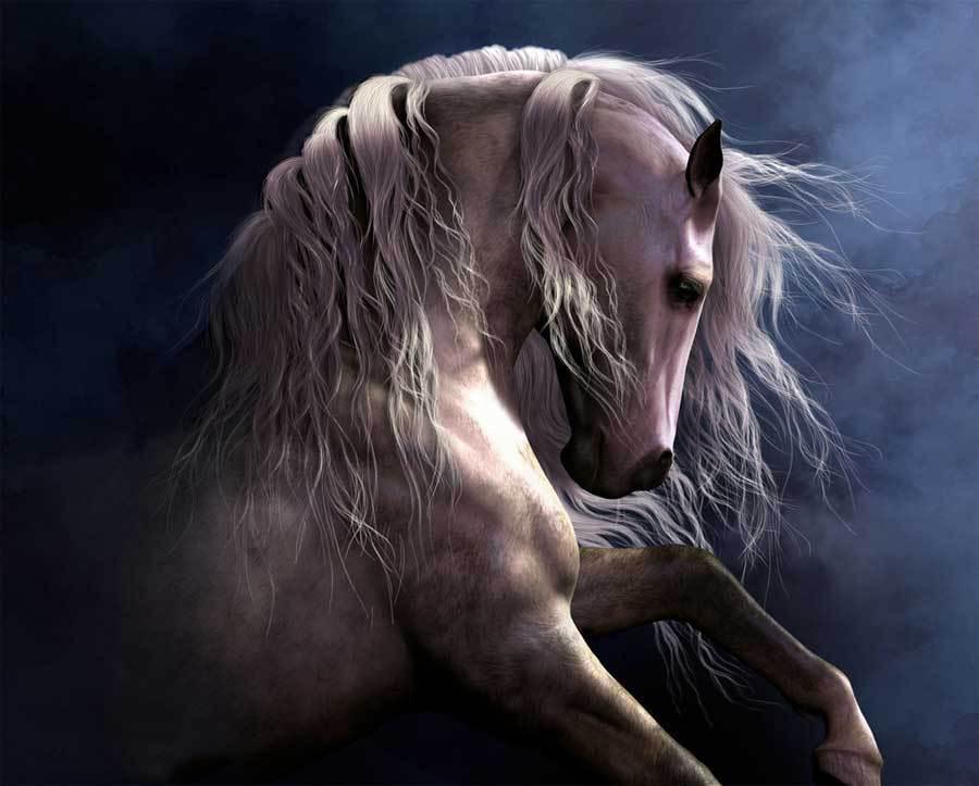 900x723 2018 Beautiful White Horse Quality Canvas Oil Paintingno Frameless - Beautiful Horse Painting