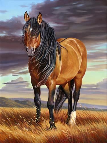 377x500 Mustang Majesty' - Beautiful Horse Painting