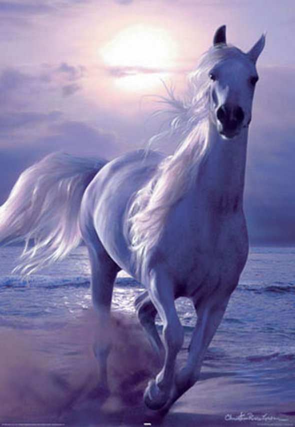 590x855 31 Amazing Galloping Horses Paintings - Beautiful Horse Painting