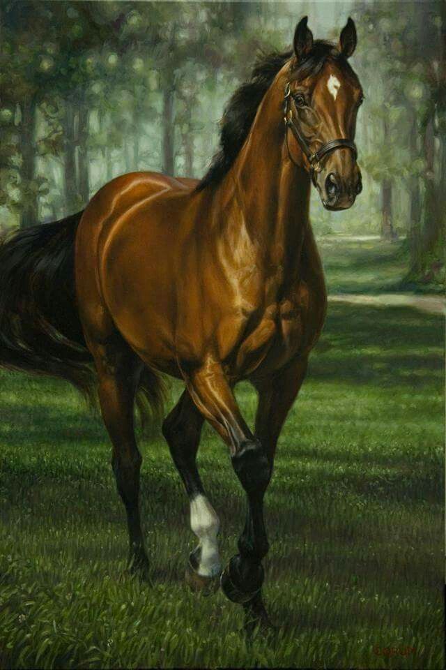 640x960 Beautiful By Jamie Corum Art Horse, Horse Art - Beautiful Horse Painting