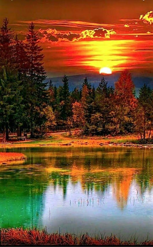 530x854 What A Beautiful Sunset Painting Inspiration! Beke - Beautiful Sunset Painting