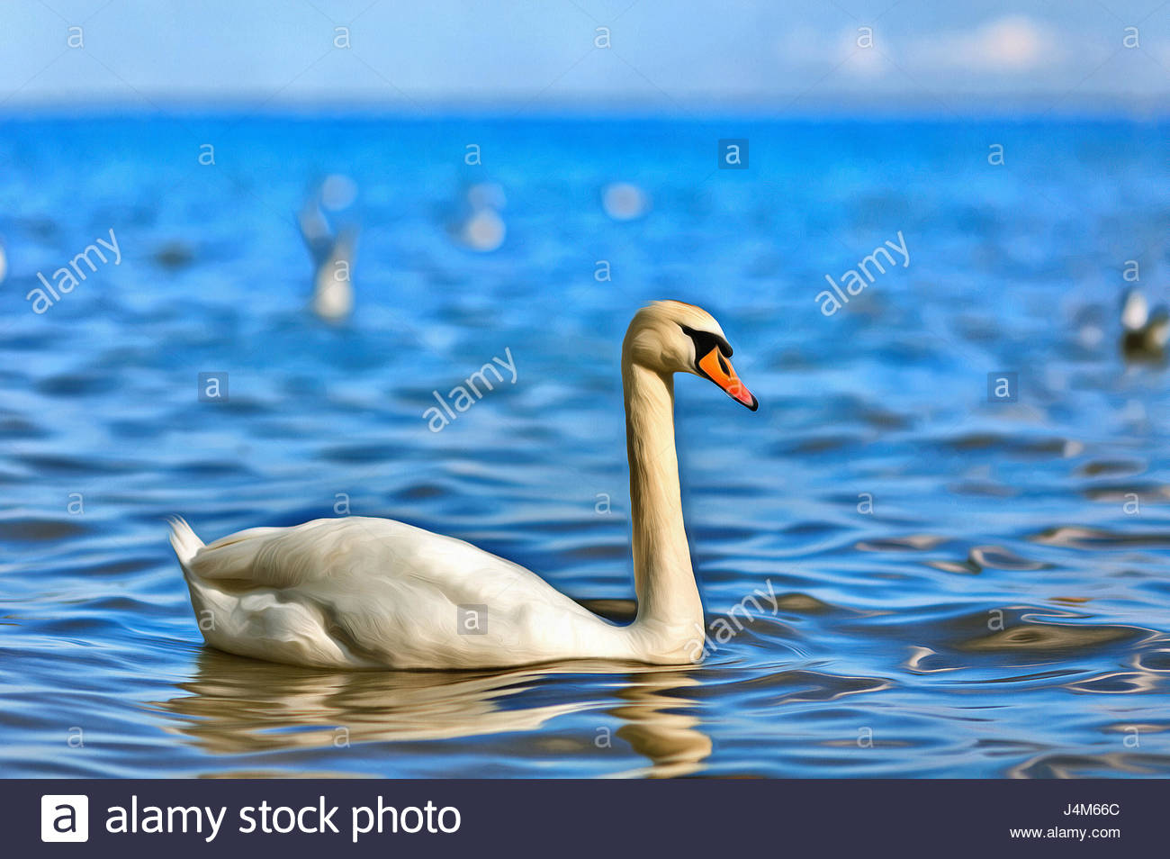 1300x954 Colorful Painting Of White Beautiful Swan In The Lake Stock Photo - Beautiful Swan Painting