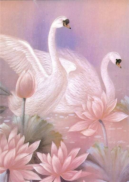 543x768 Jan's Page Of Awesomeness! Gt. Photo Art - Beautiful Swan Painting