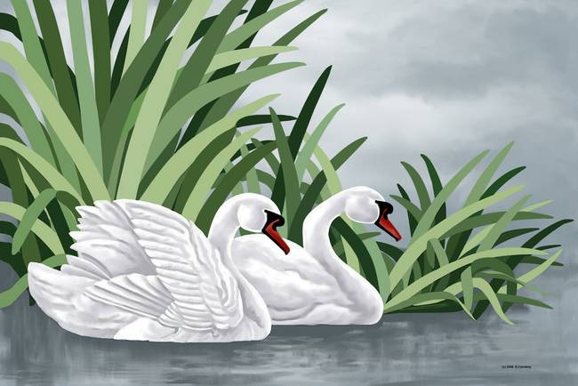 650x434 Stunning Swan Artwork For Sale On Fine Art Prints - Beautiful Swan Painting