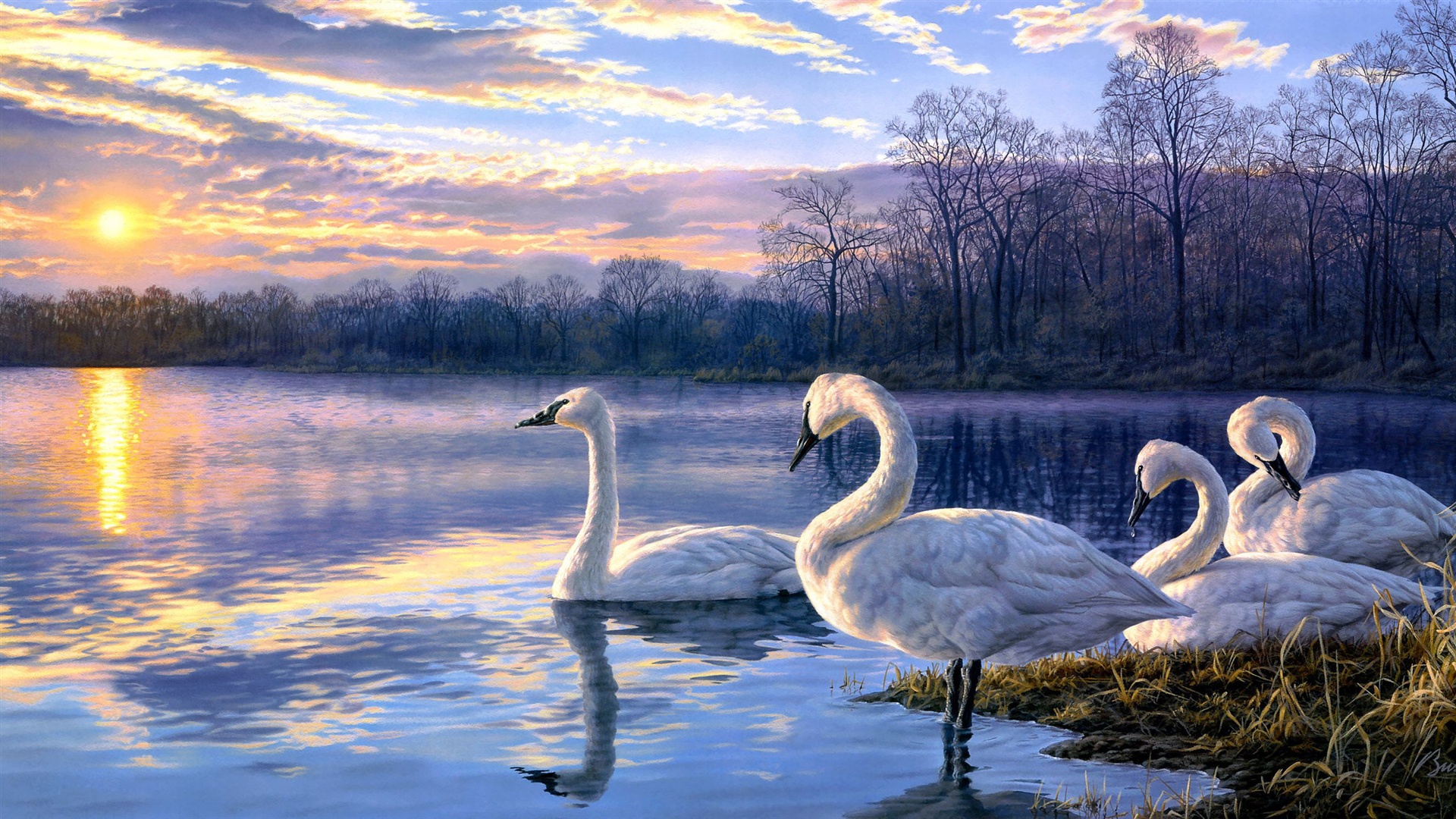 1920x1080 Wallpaper Art Painting Swan Lake Sunset Landscape 2560x1440 Qhd - Beautiful Swan Painting