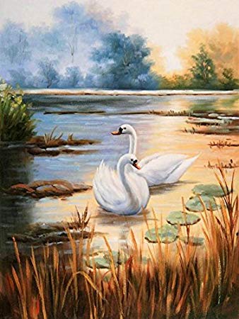 338x450 The Perfect Effect Canvas Of Oil Painting - Beautiful Swan Painting