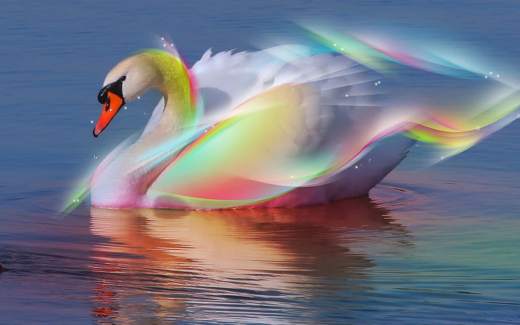 1680x1050 Beautiful Swan On The River Graphic Image - Beautiful Swan Painting