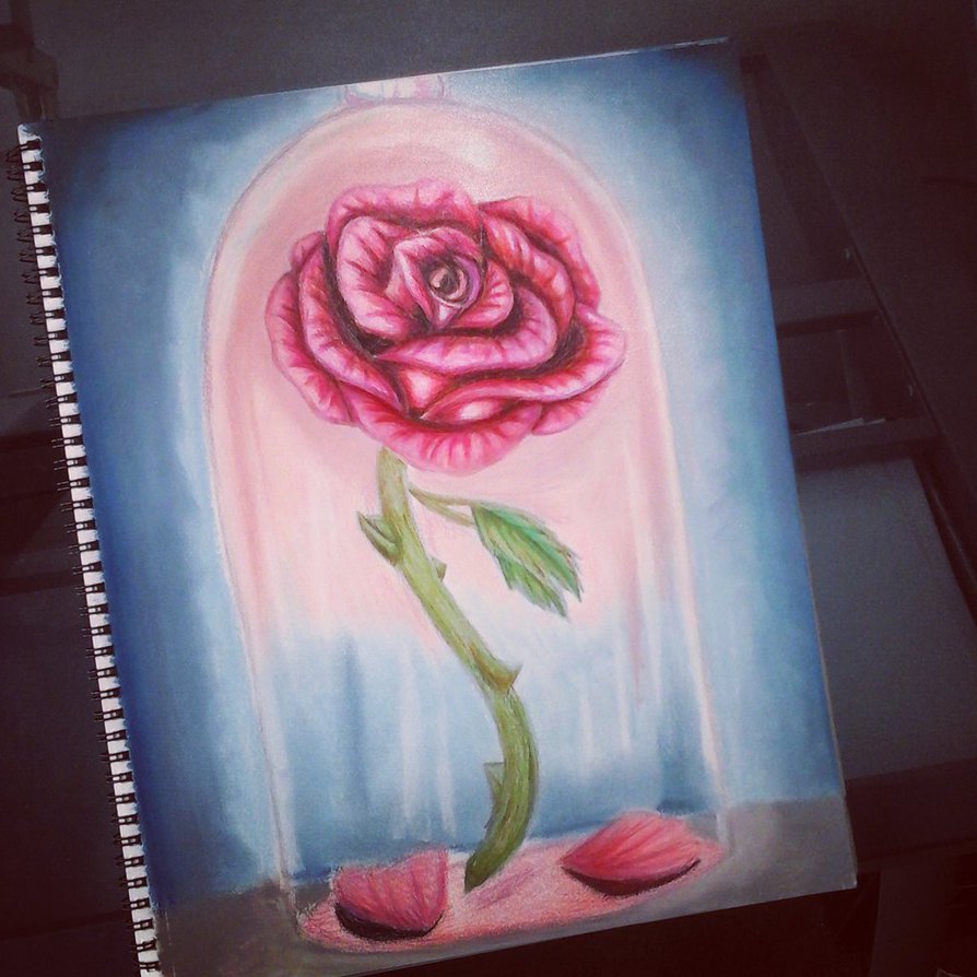 894x894 Beauty And The Beast Enchanted Rose Tribute By Spencart100 - Beauty And The Beast Rose Painting