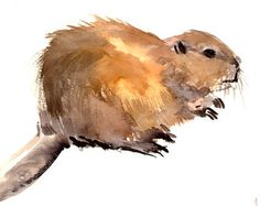 236x187 Suren Nersisyan, Paintings And Prints - Beaver Painting