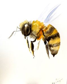 236x296 Bee Watercolor Painting - Bee Painting
