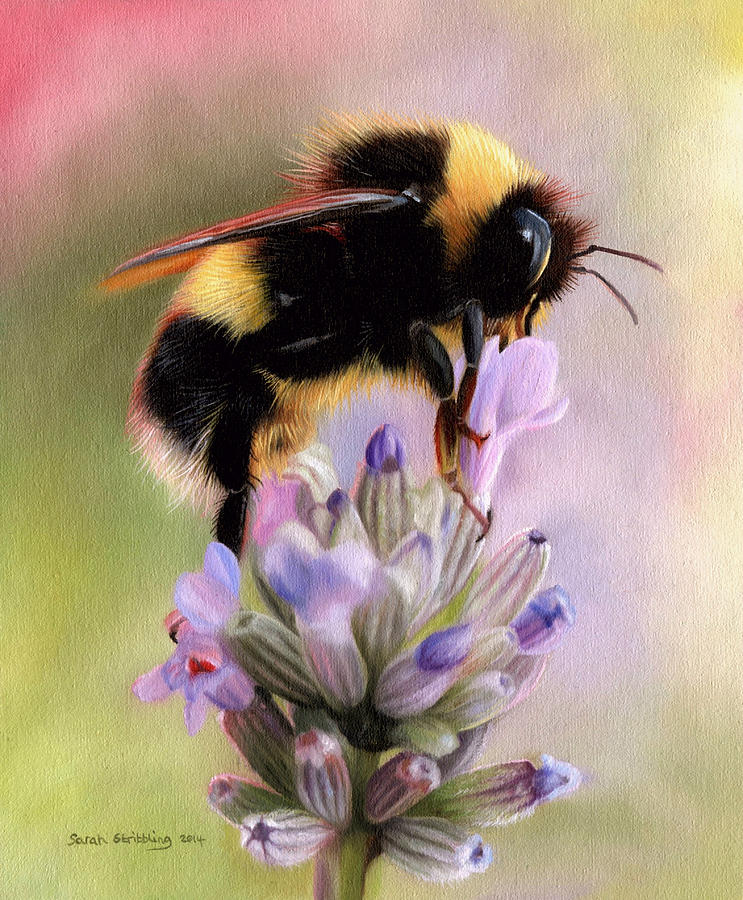 743x900 Bumble Bee Painting By Sarah Stribbling - Bee Painting