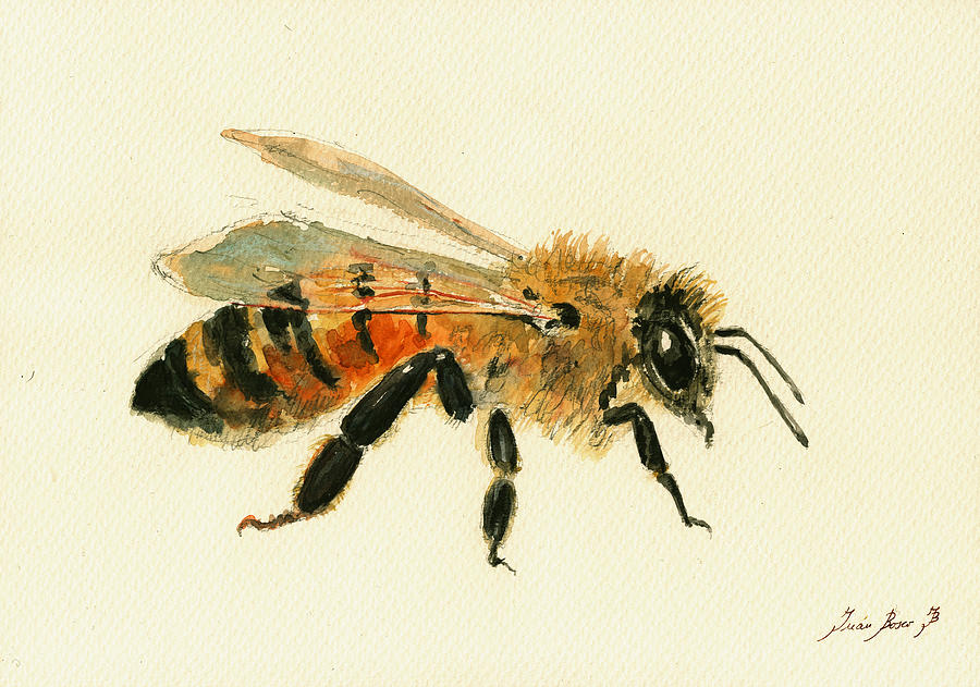 900x631 Honey Bee Painting Painting By Juan Bosco - Bee Painting