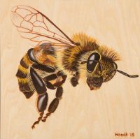 200x199 Bee 8x8'' Series - Bee Painting