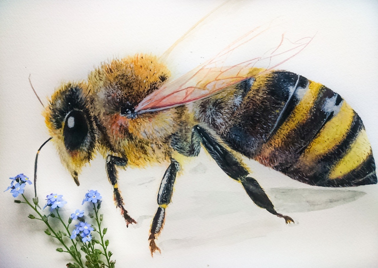 1280x908 Zaiguu Etsy Original Bee Painting By Me - Bee Painting
