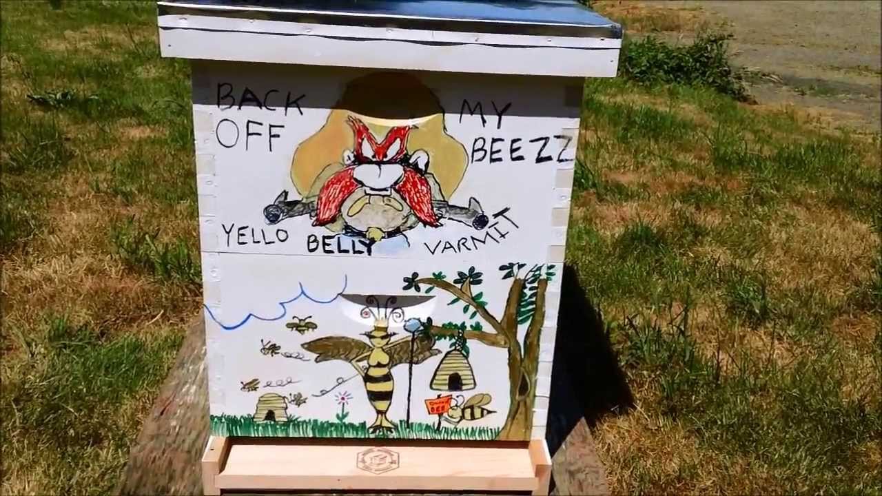 1280x720 Painted Beehive - Beehive Painting