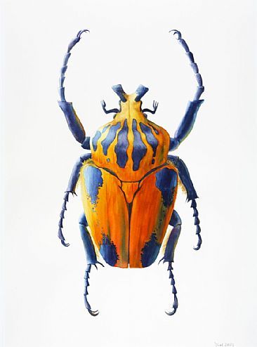 366x494 Large Goliath Beetle - Beetle Painting