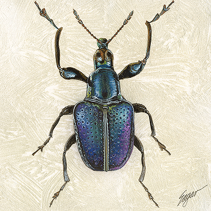 700x700 Metallic Jungle Beetle Shop Online Clint Eagar Design - Beetle Painting