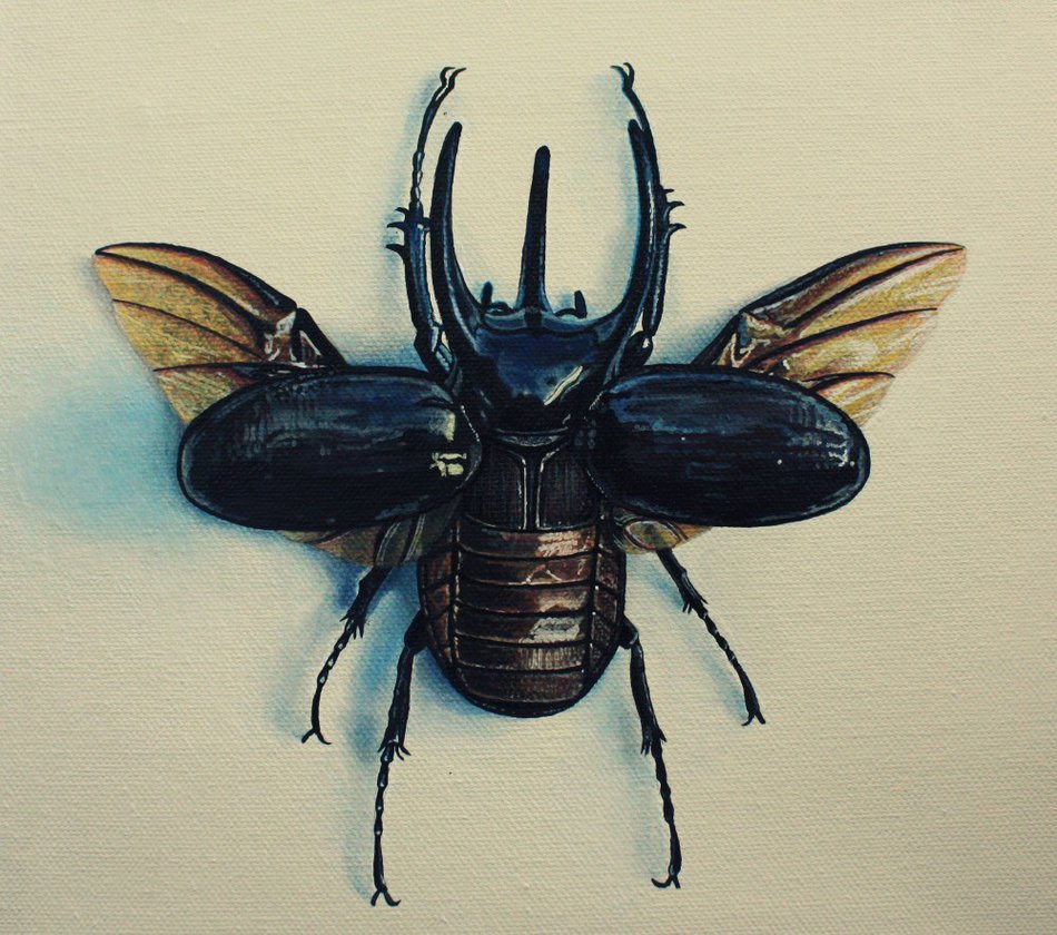 950x840 Atlas Beetle Painting By Straewefin - Beetle Painting