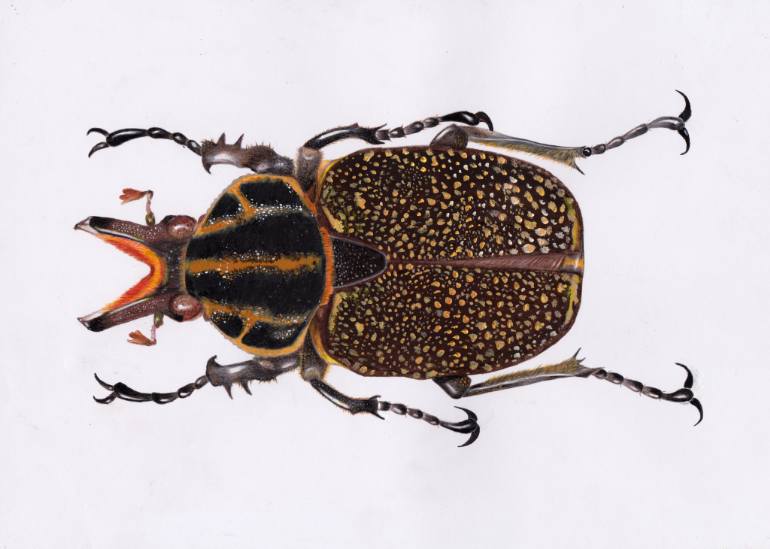 770x549 Saatchi Art The Inca Beetle Painting By Gustavo Morejon - Beetle Painting