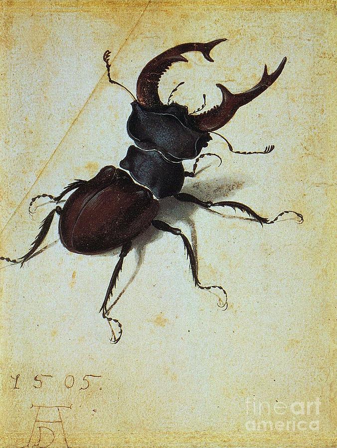 676x900 Stag Beetle Painting By Pg Reproductions - Beetle Painting