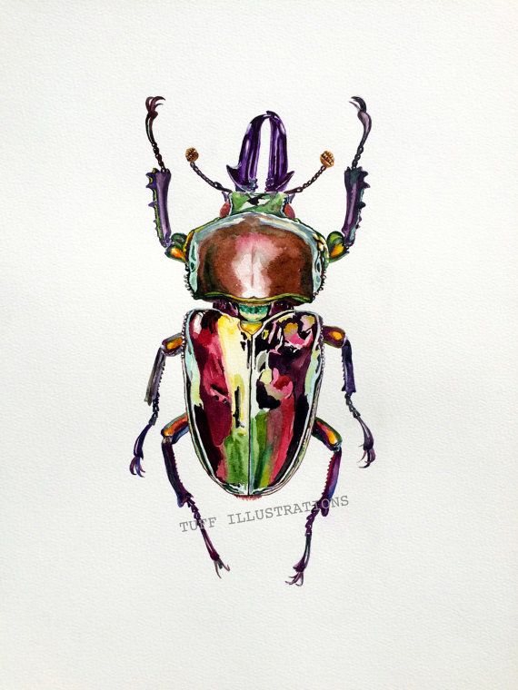 570x760 Watercolor Beetle Print From Original Painting By Redjabberbird - Beetle Painting