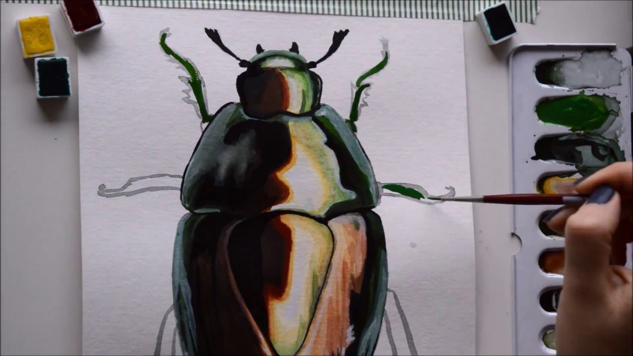 1280x720 Watercolor Speed Painting - Beetle Painting