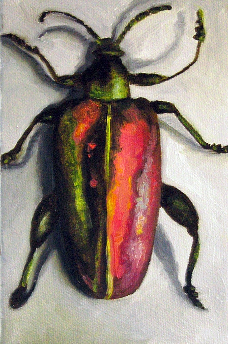 464x699 Beetle Painting By Leah Saulnier The Painting Maniac - Beetle Painting