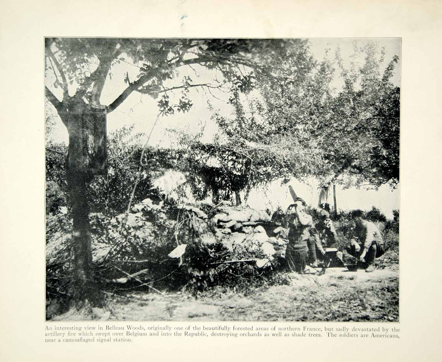 1500x1229 1934 Print Wwi Doughboy Us Army Signal Station Battle Belleau Wood - Belleau Wood Painting