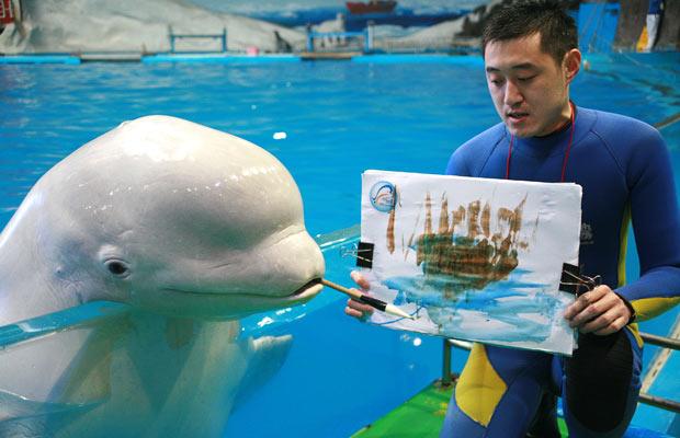 620x400 Animal Pictures Of The Week 16 April 2010 - Beluga Whale Painting