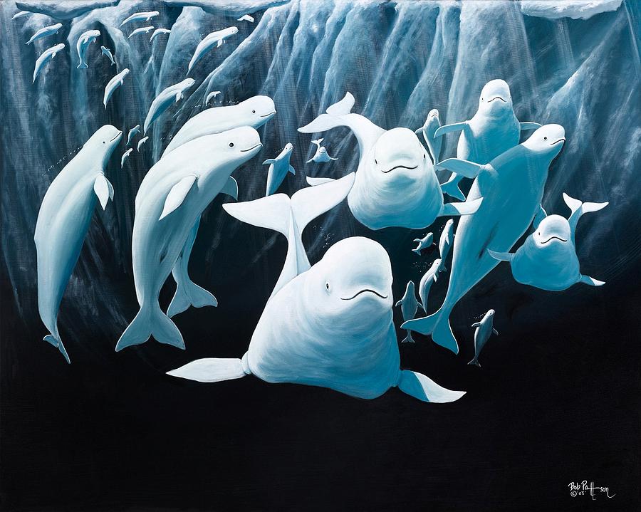 900x719 Curious Belugas Painting By Bob Patterson - Beluga Whale Painting