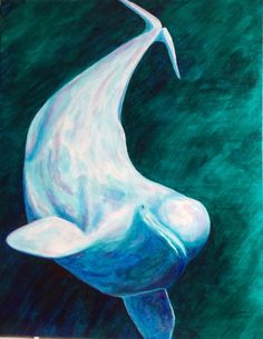 236x305 Giclee Art Print Of A Beluga Whale Watercolor Painting. Giclee Art - Beluga Whale Painting