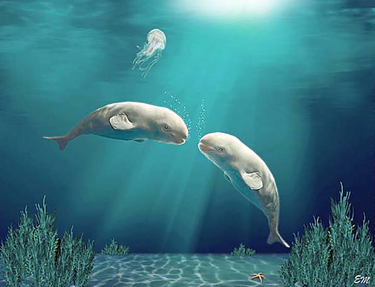 770x590 Saatchi Art Beluga Whales Ocean Habitat Painting By Ed Michaels - Beluga Whale Painting
