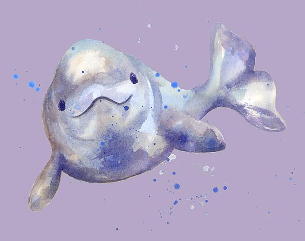 600x474 Baby Whale Canvas Print Canvas Art By Alison Fennell Nursery - Beluga Whale Painting