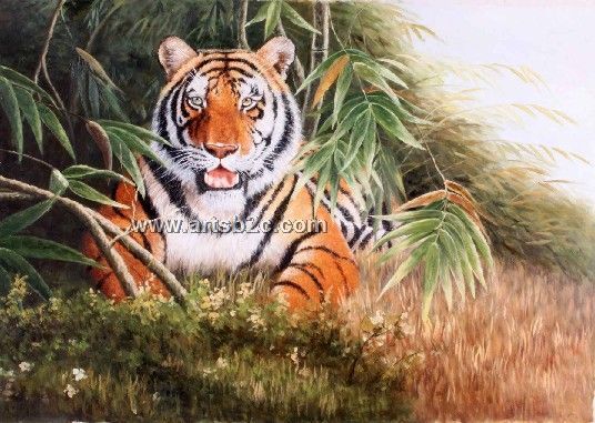 536x381 Bengal Tiger Oil Painting - Bengal Tiger Painting