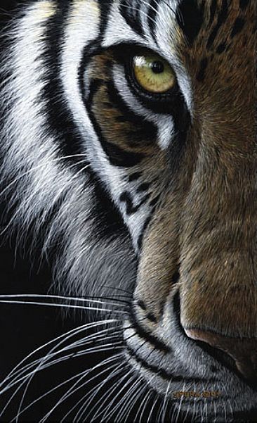 366x601 Eye Of India - Bengal Tiger Painting