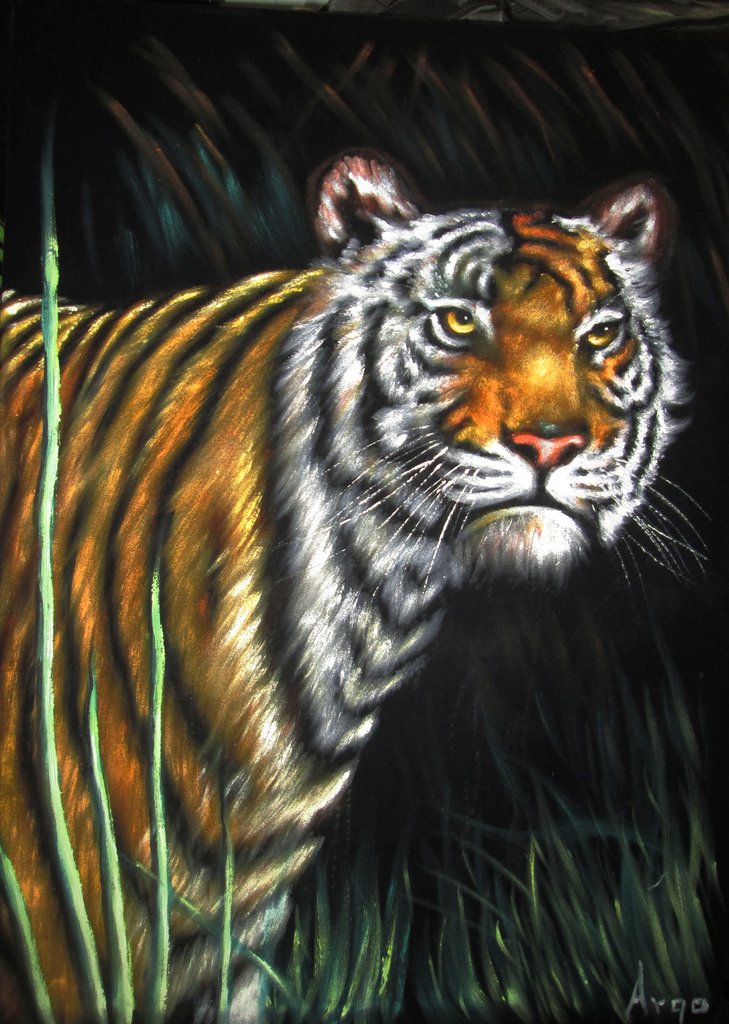 729x1024 Bengal Tiger, Original Oil Painting On Black Velvet By Alfredo - Bengal Tiger Painting