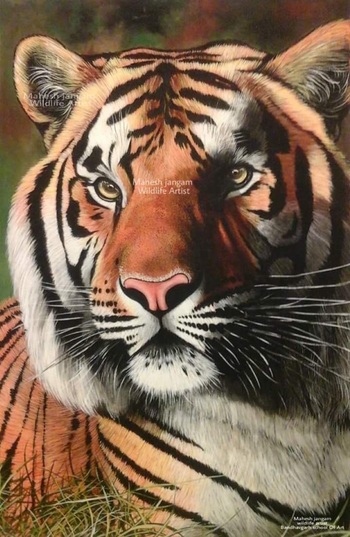 720x1104 Tiger Paintings On Canvas Abstract Tiger Wall Art For Sale - Bengal Tiger Painting