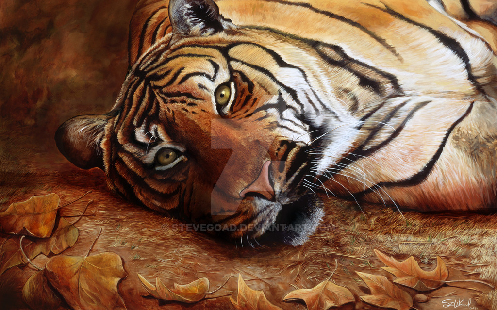 1024x639 Bengal Tiger Oil Painting By Stevegoad - Bengal Tiger Painting