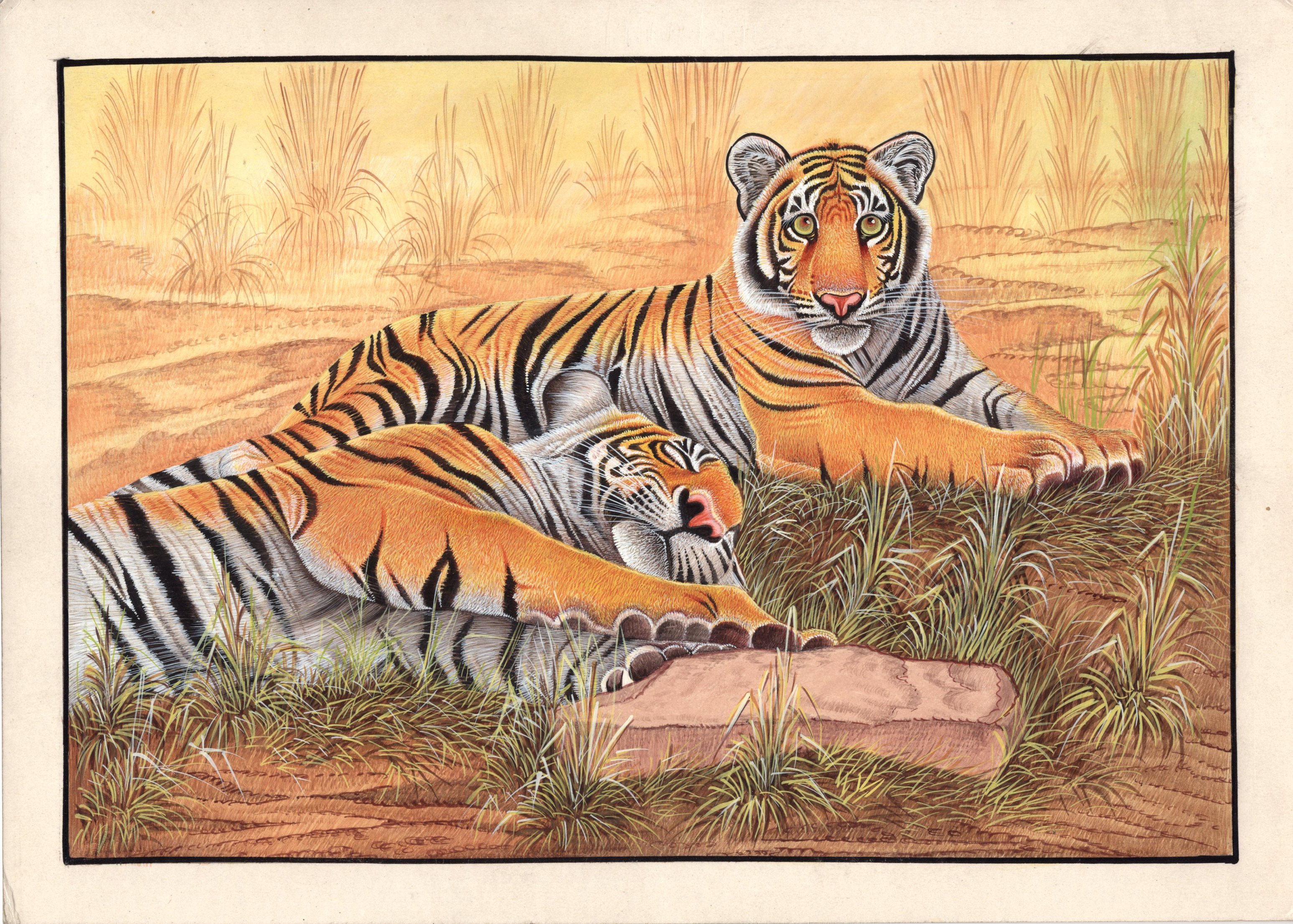Живопись тигр смышленый