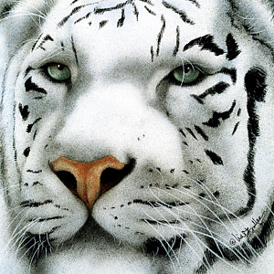 300x300 Bengal Tiger Paintings Fine Art America - Bengal Tiger Painting